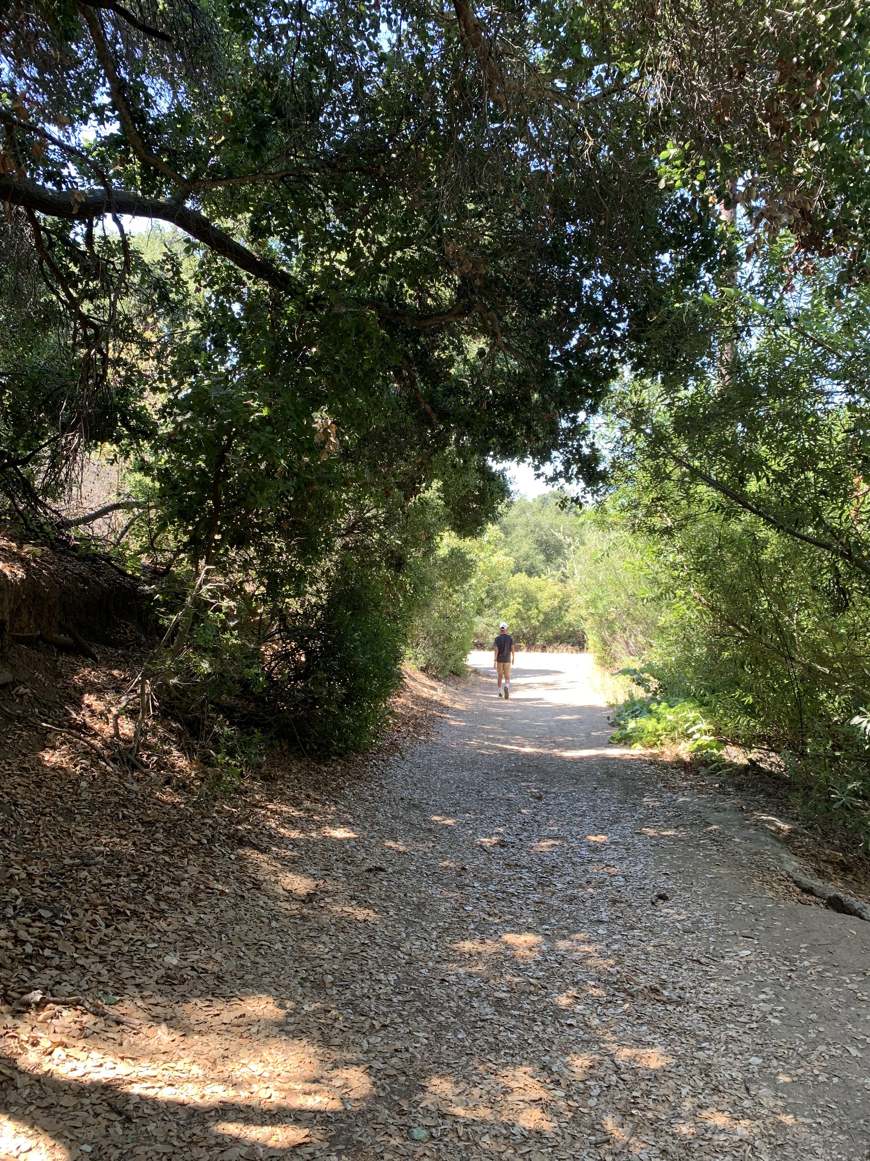 August 19, 2019. You sped up.…