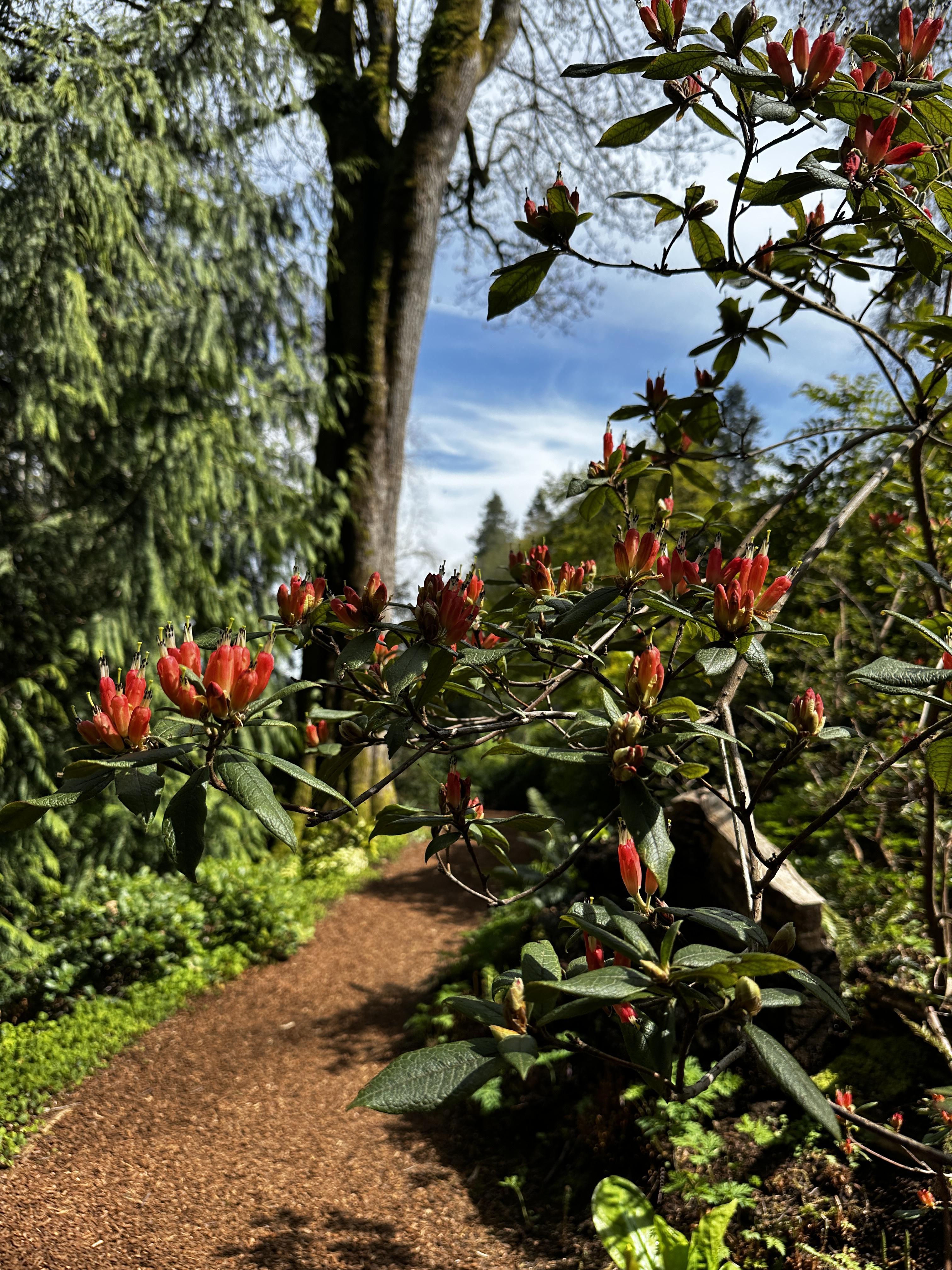 A walk with you through God’s…