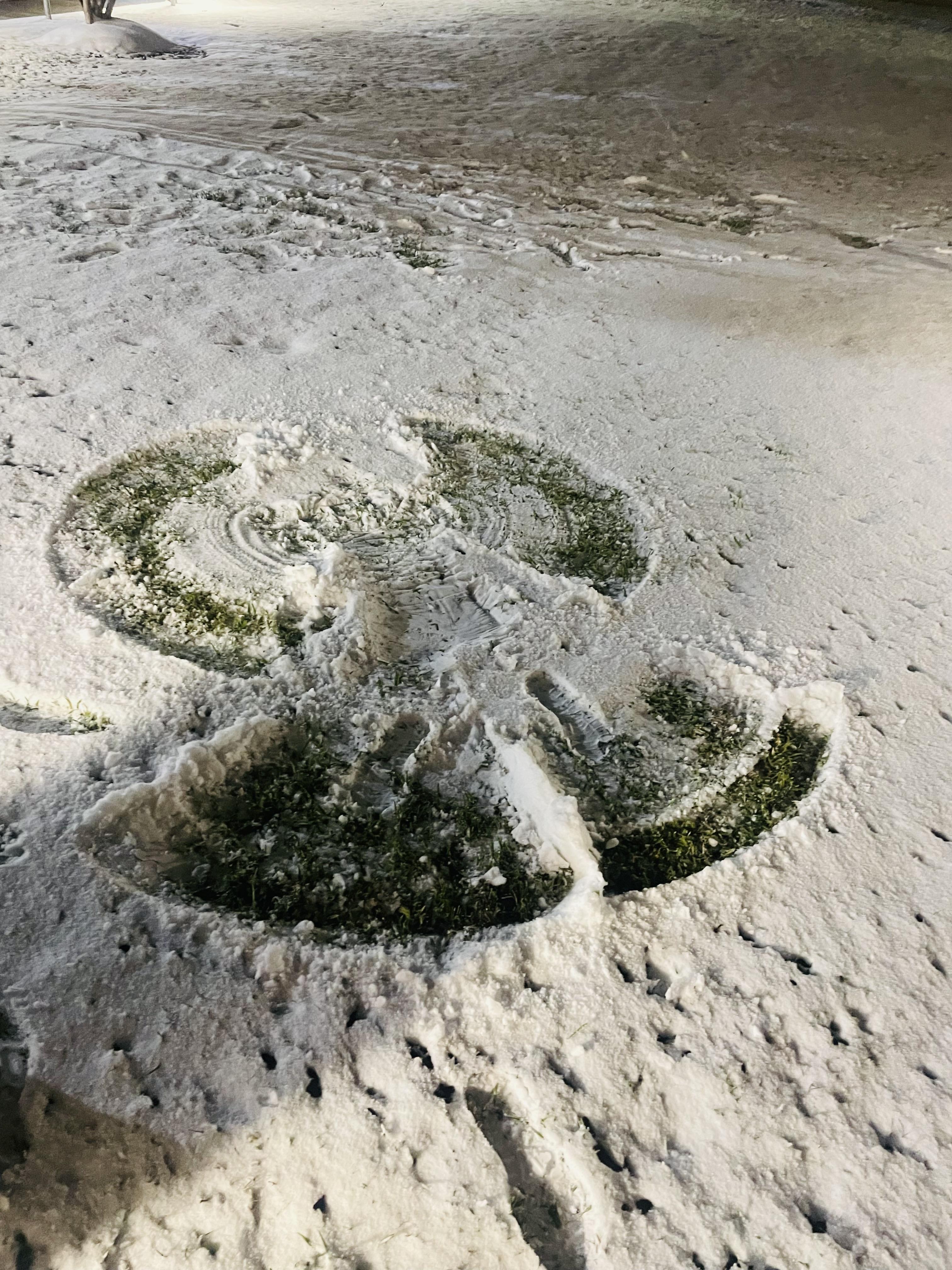 Snow Angel by Precious