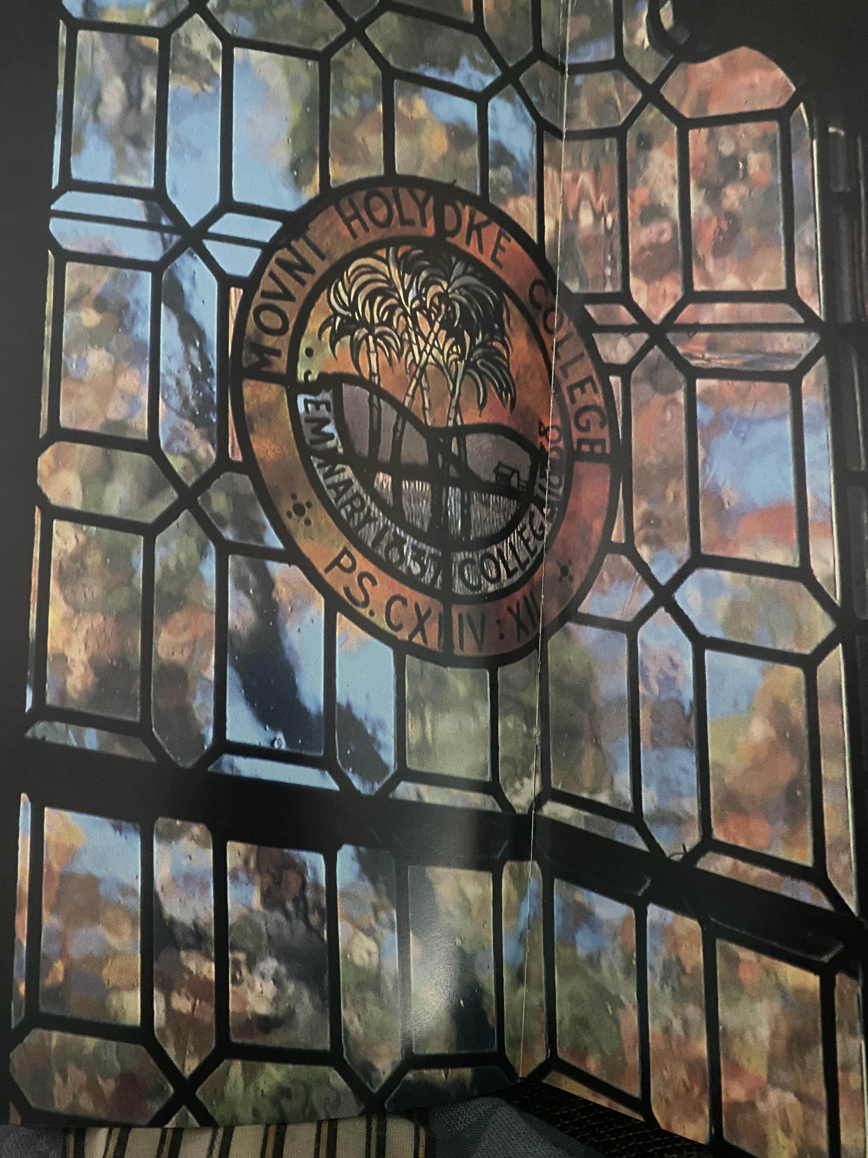 In 2019, I was cast in my fir…