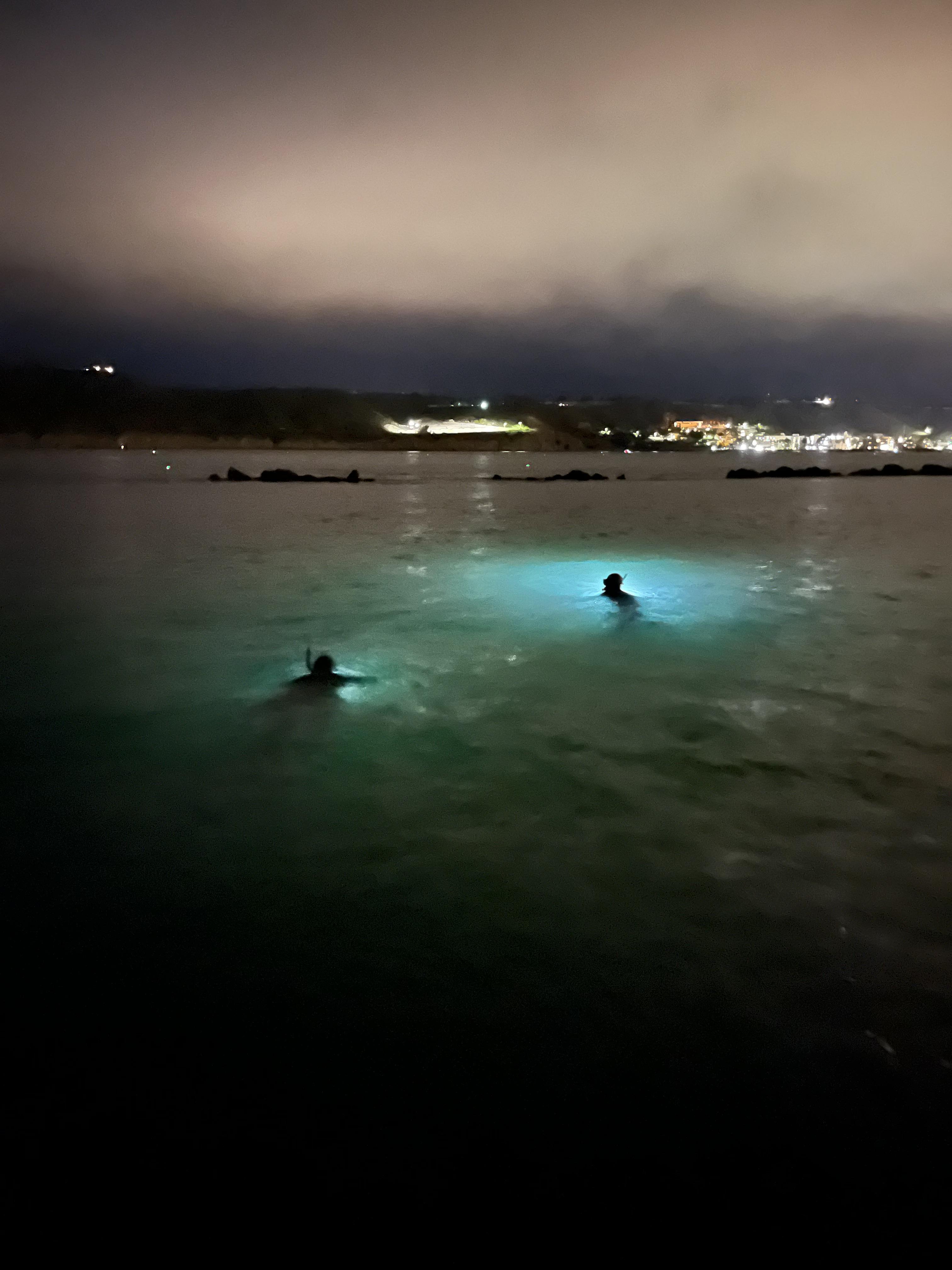 Simon, Darian and I night div…