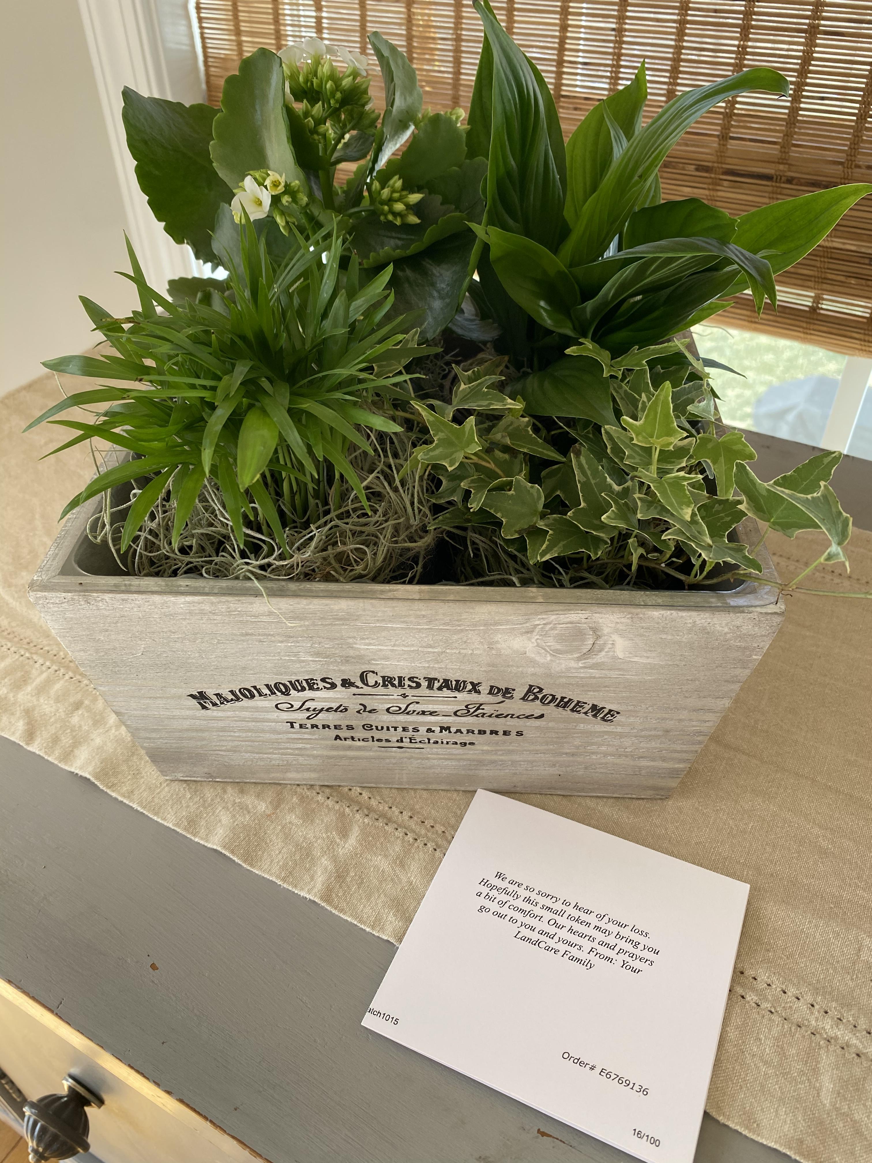 Condolence flowers sent from …