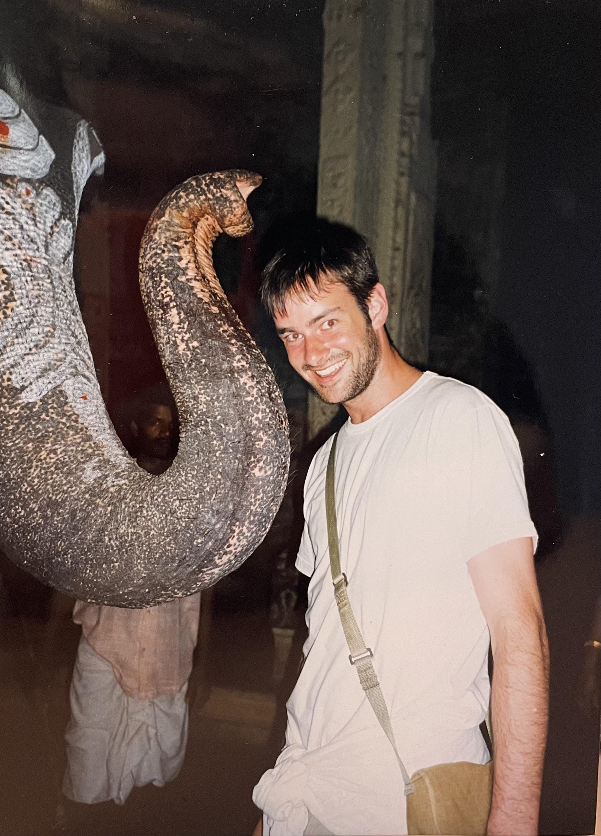 Meeting a painted elephant in…