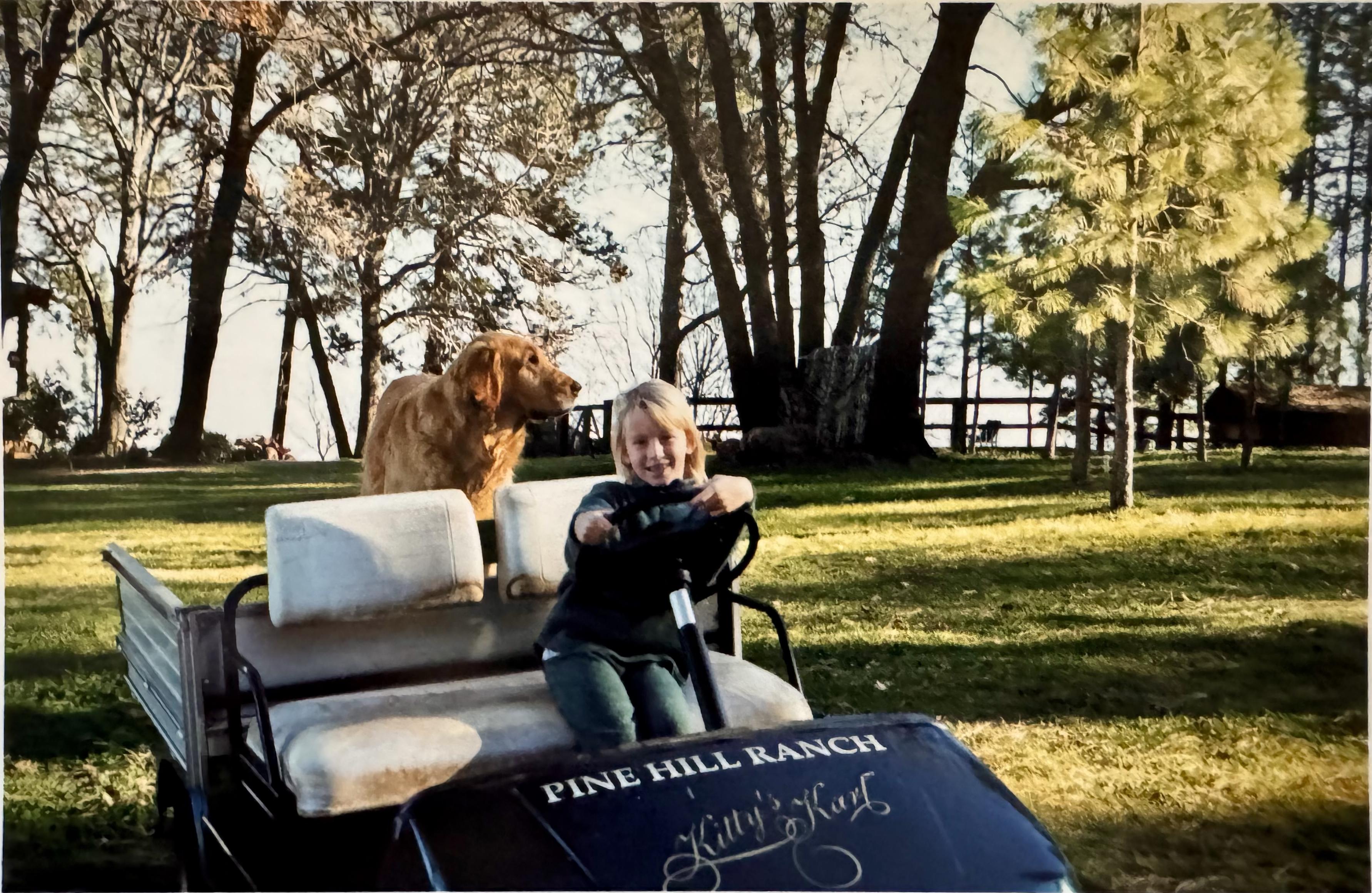 Christmas-time at Pine Hill R…