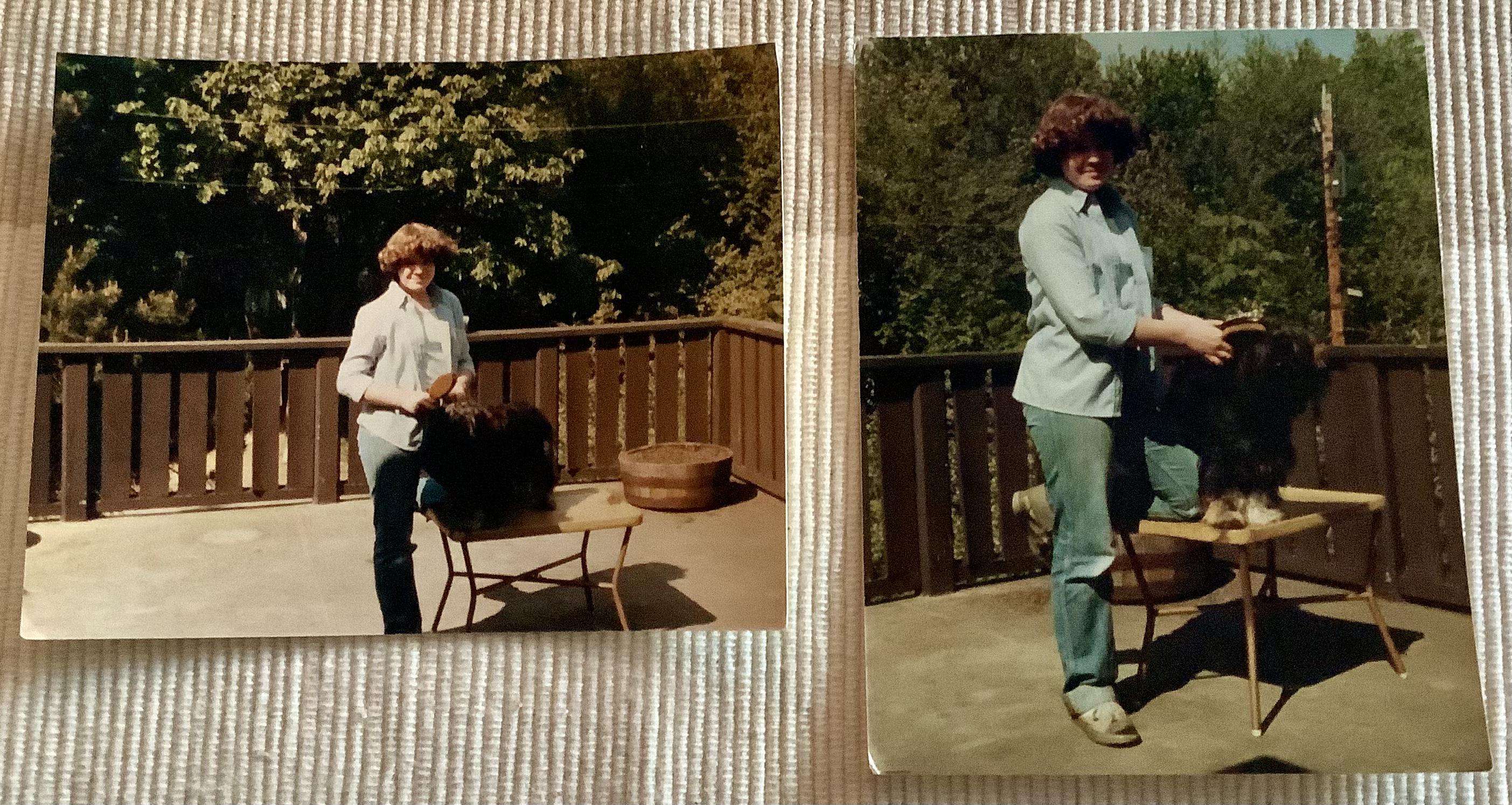 With Rascal, the family dog