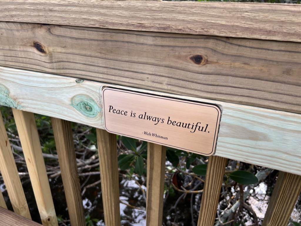 Kurt's Memorial benches