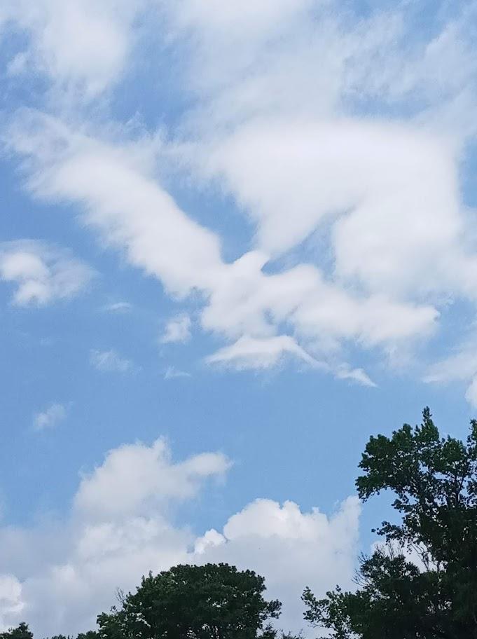 Dove in the Sky, July 2023