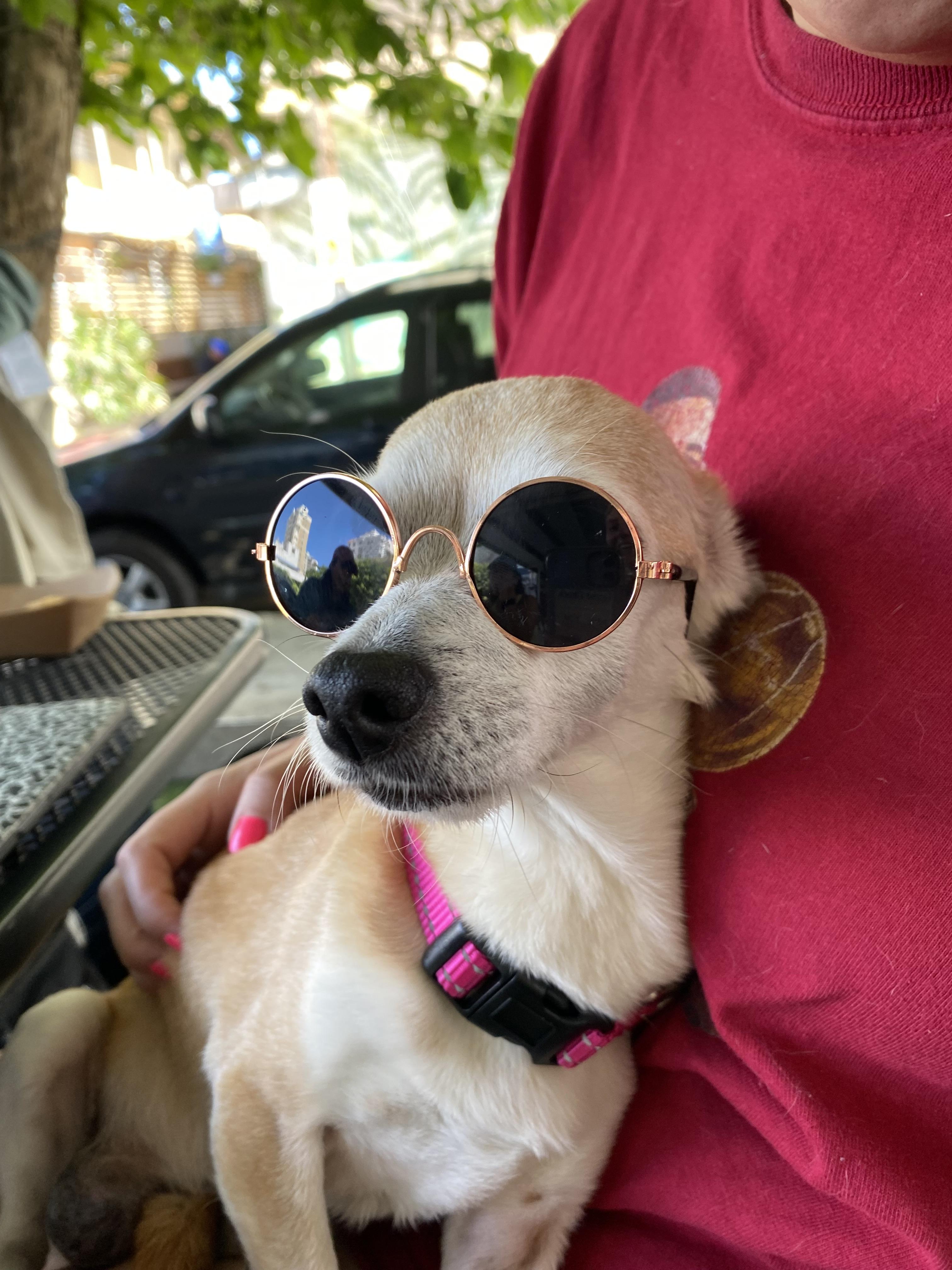 Fashion icon