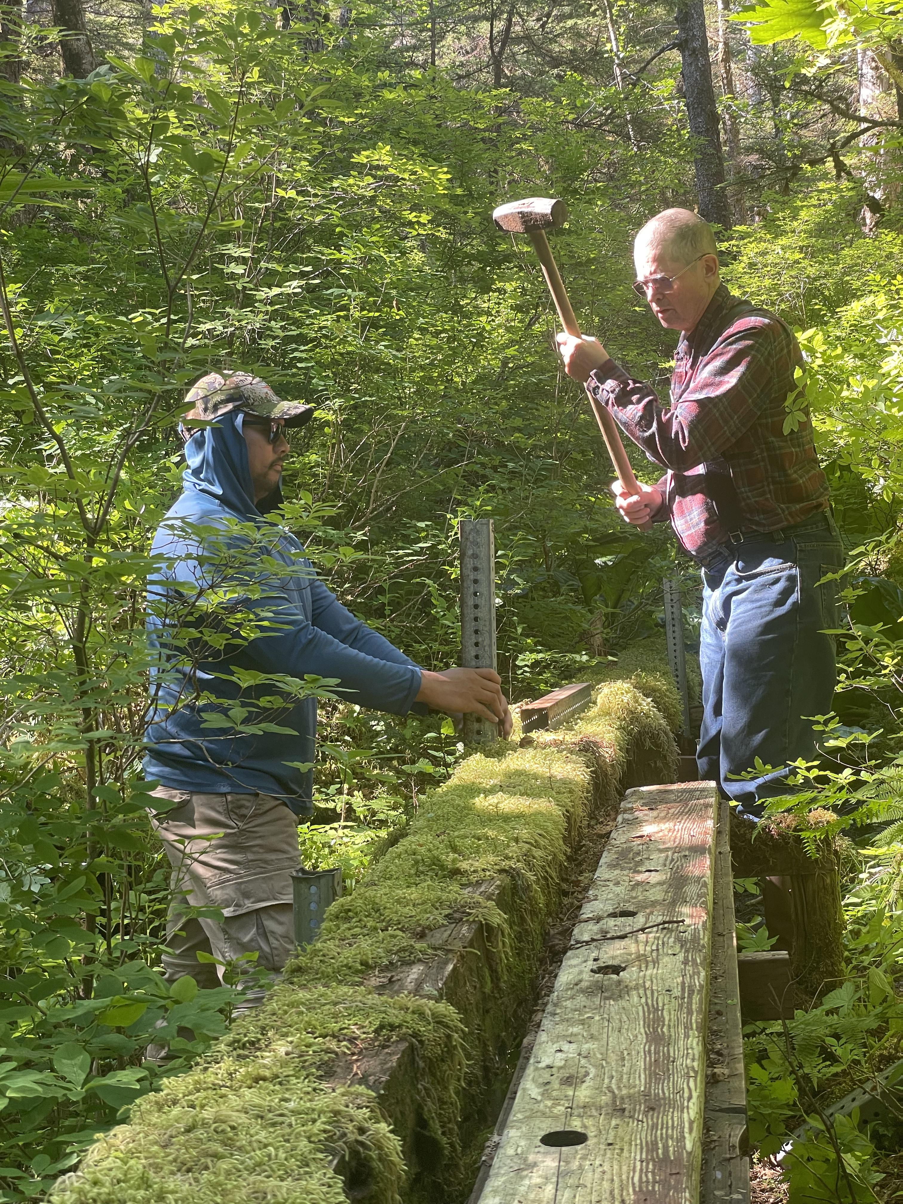 Installing new posts to reinf…