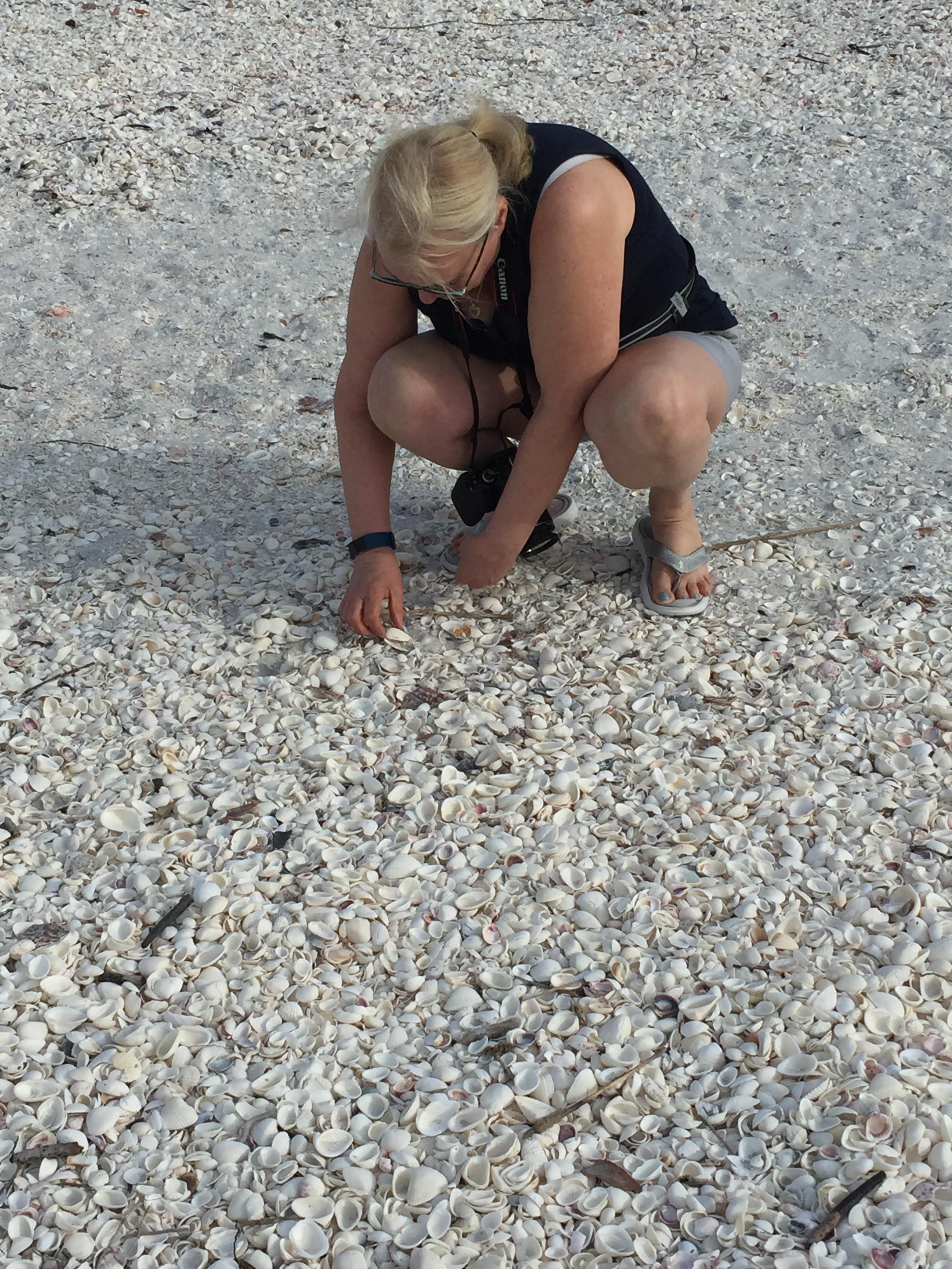 Loved shelling on the beaches!