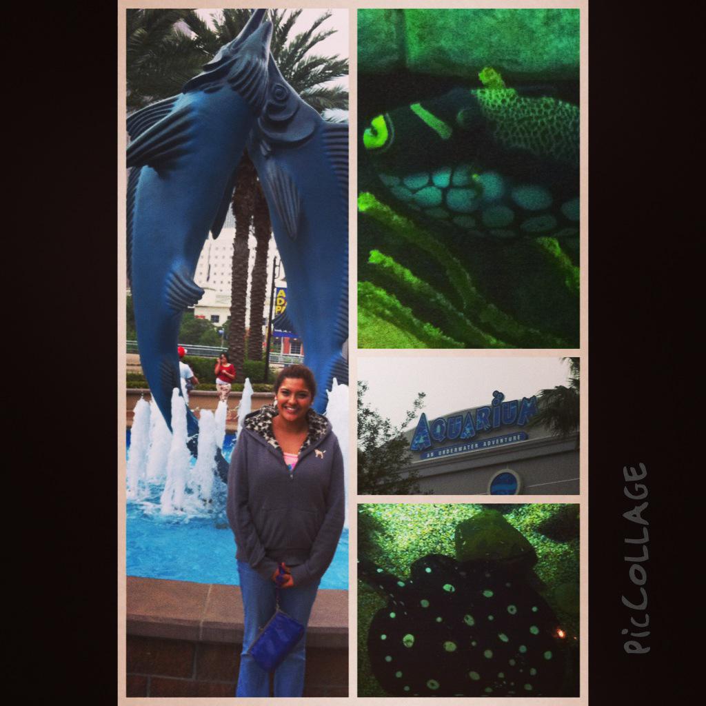 Millies trip to Houston with …