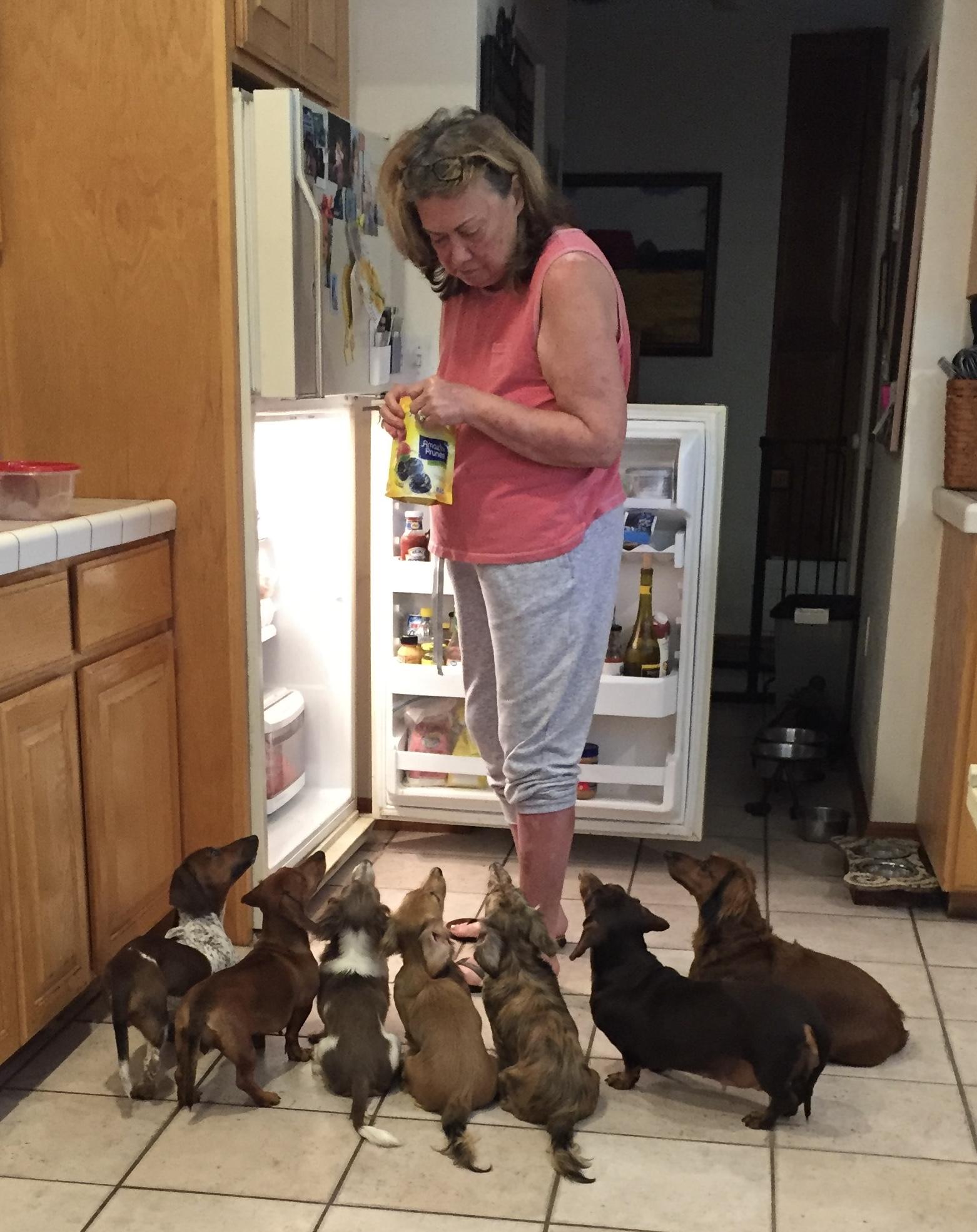 The Doxies knew that Mommy lo…