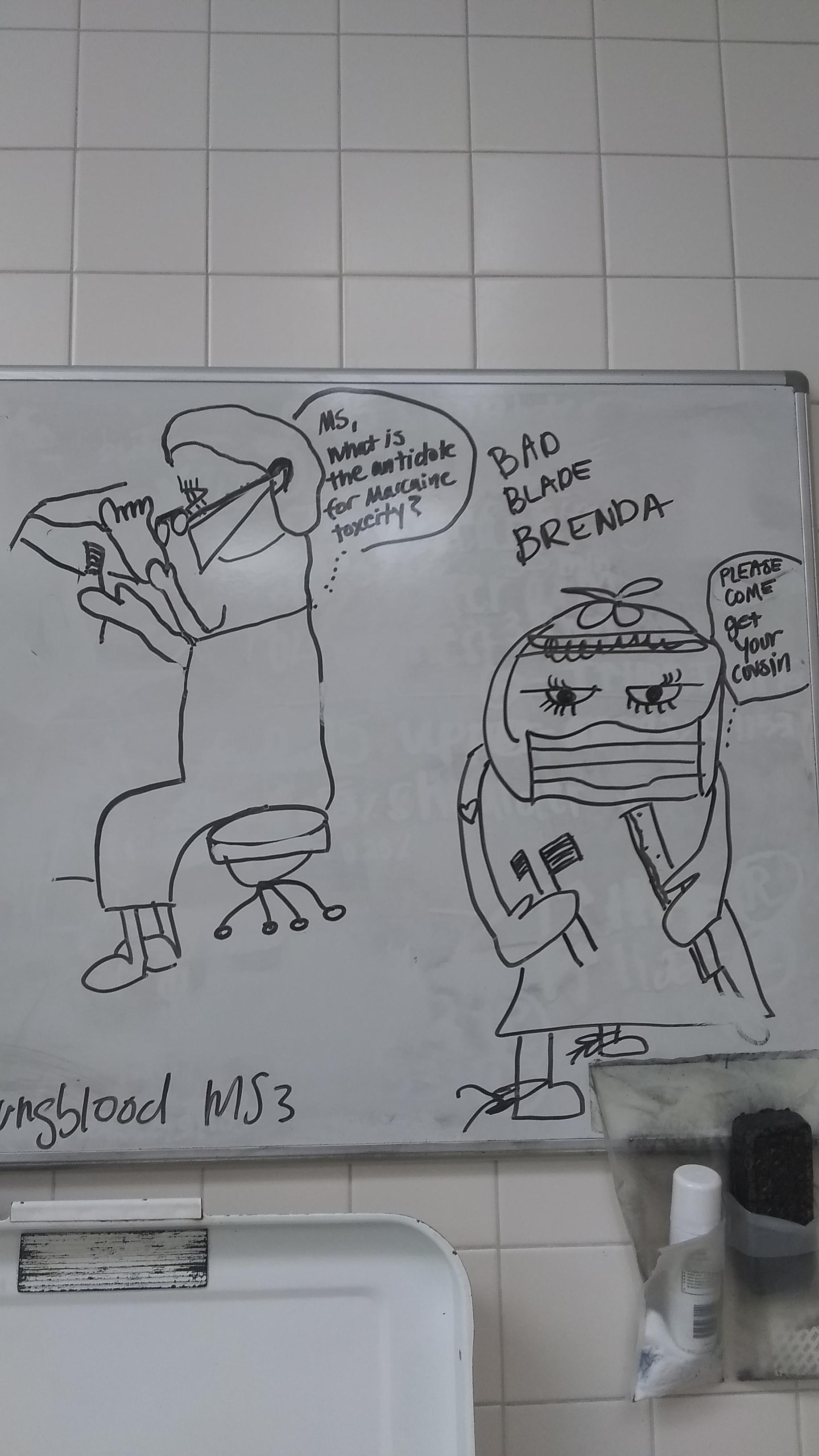 Dr. Ingram Quizzing The Medic…