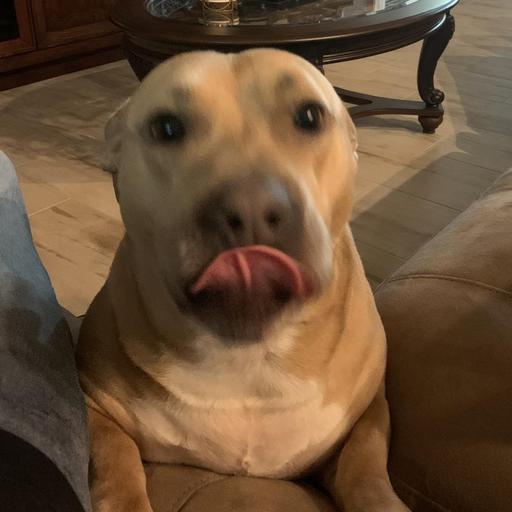 User profile photo