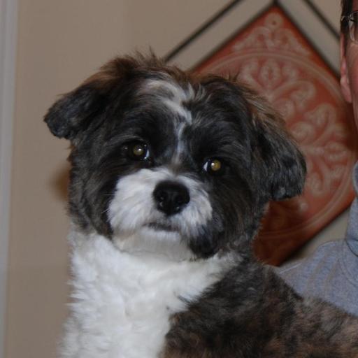 User profile photo
