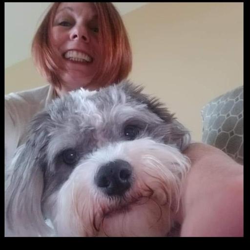 User profile photo