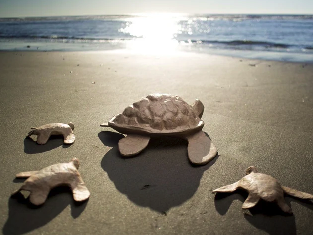 Photo of Large Adult Eco Sea Burial Turtle Urn