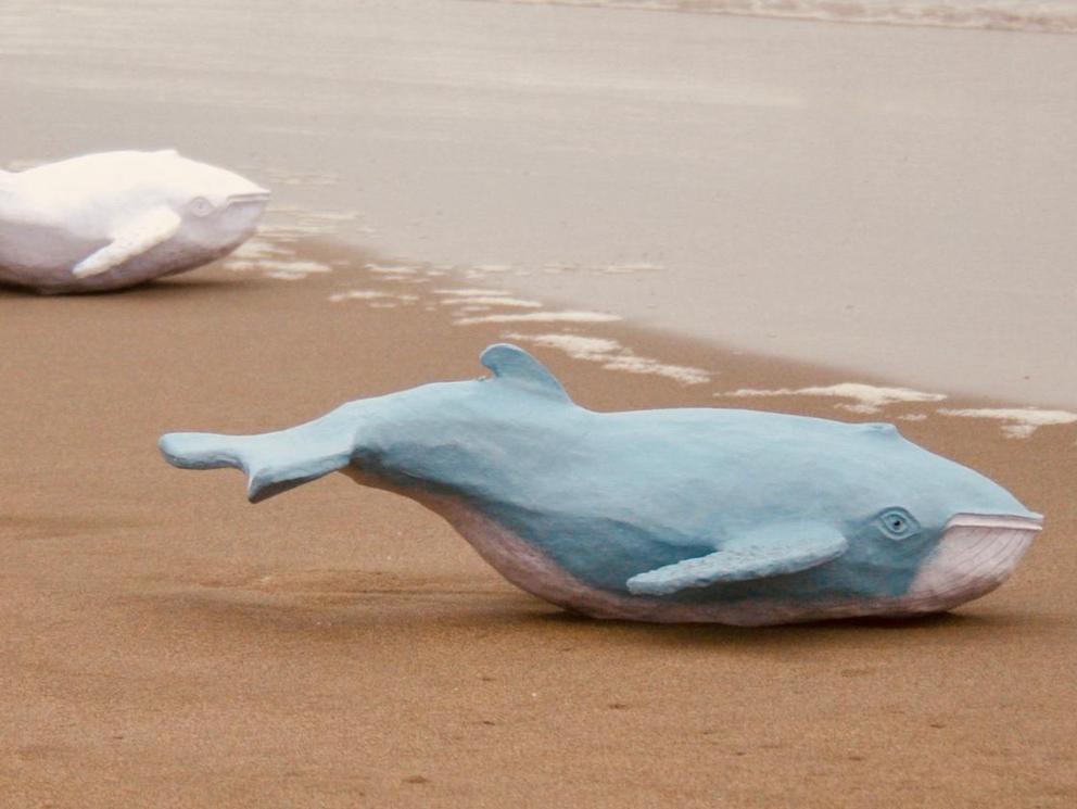 Photo of Large Whale Biodegradable Companion Urn