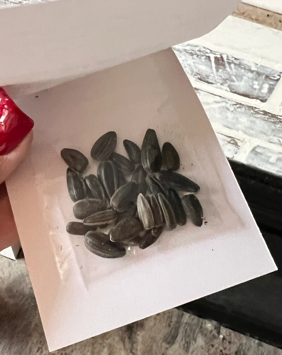 Photo of Set of 20 Butterflies in Garden Flower Seed Packets